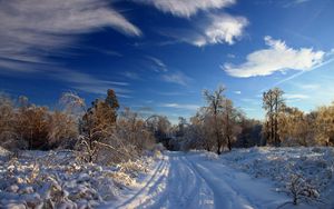 Превью обои зима, снег, дорога, следы, кусты, деревья, сугробы, облака, небо, ясное