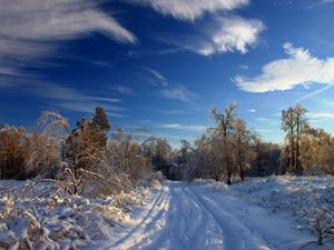 Превью обои зима, снег, дорога, следы, кусты, деревья, сугробы, облака, небо, ясное