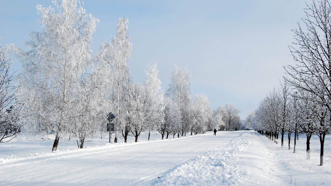 Обои зима, снег, дорога, аллея, деревья, человек