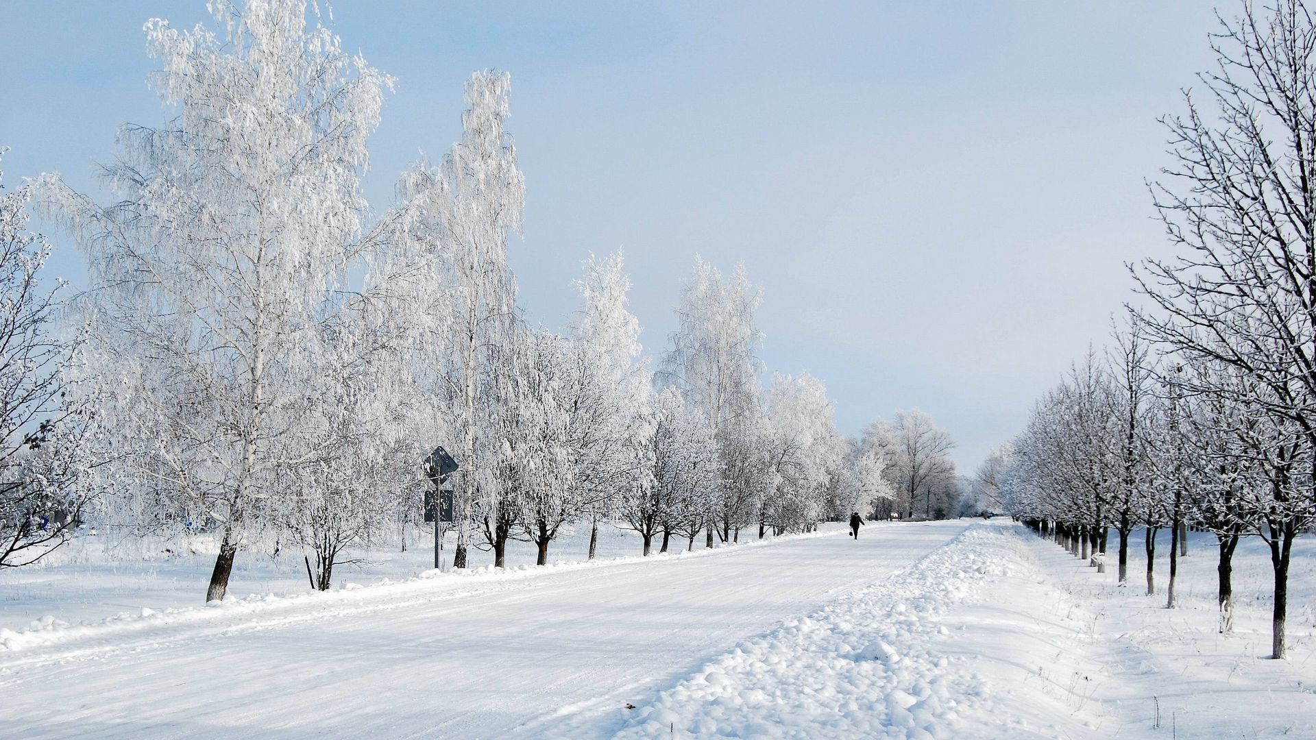 Скачать 1920x1080 зима, снег, дорога, аллея, деревья, человек обои,  картинки full hd, hdtv, fhd, 1080p
