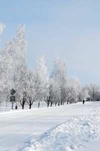 Превью обои зима, снег, дорога, аллея, деревья, человек