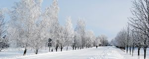 Превью обои зима, снег, дорога, аллея, деревья, человек