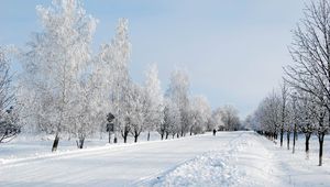 Превью обои зима, снег, дорога, аллея, деревья, человек