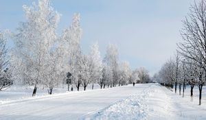 Превью обои зима, снег, дорога, аллея, деревья, человек