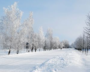 Превью обои зима, снег, дорога, аллея, деревья, человек