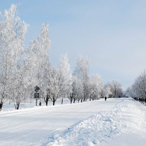 Превью обои зима, снег, дорога, аллея, деревья, человек