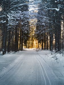 Превью обои зима, снег, дорога, деревья