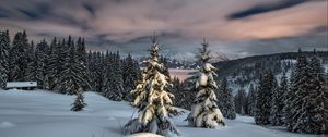 Превью обои зима, снег, горы, закат, ели