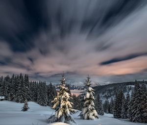 Превью обои зима, снег, горы, закат, ели