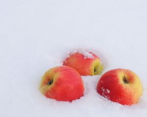 Превью обои зима, снег, яблоки, мороз, новый год