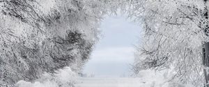 Превью обои зима, снег, лес, дорога, арка, ветки, иней