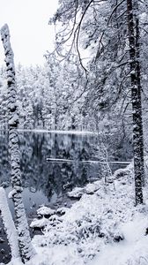 Превью обои зима, снег, лес, деревья, ветки