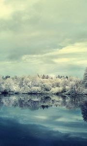 Превью обои зима, снег, озеро, отражение, иней, деревья, берег, зеркало, холод