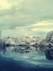 Превью обои зима, снег, озеро, отражение, иней, деревья, берег, зеркало, холод