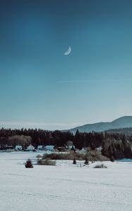 Превью обои зима, снег, пейзаж, деревня, деревья