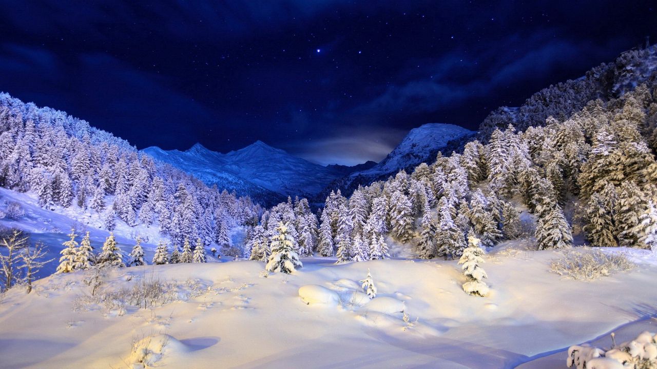 Обои зима, снег, покров, ночь, свет, деревья, хвойные, звезды, синий, белый