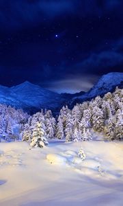 Превью обои зима, снег, покров, ночь, свет, деревья, хвойные, звезды, синий, белый