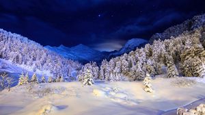 Превью обои зима, снег, покров, ночь, свет, деревья, хвойные, звезды, синий, белый