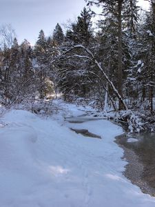 Превью обои зима, снег, река, лес, пейзаж