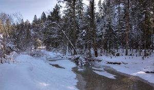 Превью обои зима, снег, река, лес, пейзаж