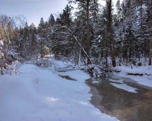 Превью обои зима, снег, река, лес, пейзаж