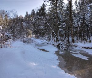 Превью обои зима, снег, река, лес, пейзаж