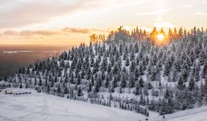 Превью обои зима, снег, вершина, деревья, закат