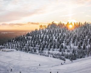 Превью обои зима, снег, вершина, деревья, закат