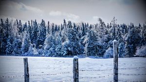 Превью обои зима, снег, забор, деревья