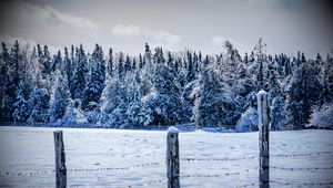 Превью обои зима, снег, забор, деревья