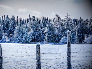 Превью обои зима, снег, забор, деревья