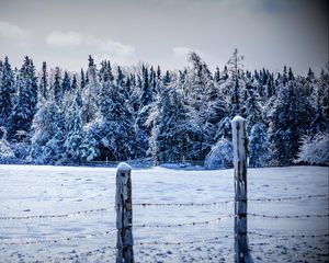 Превью обои зима, снег, забор, деревья