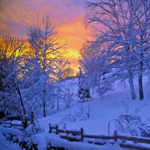 Превью обои зима, снег, закат, забор, небо, деревья
