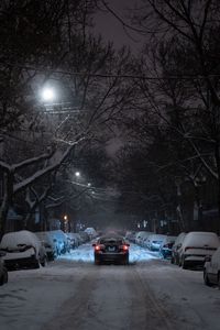 Превью обои зима, улица, автомобиль, движение, ночь, ветки, деревья