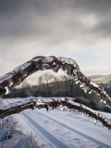 Превью обои зима, ветки, лед, снег