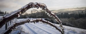 Превью обои зима, ветки, лед, снег