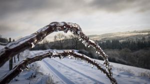 Превью обои зима, ветки, лед, снег