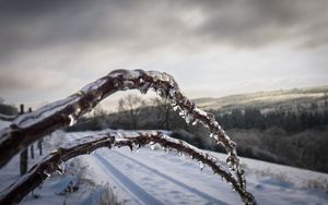 Превью обои зима, ветки, лед, снег