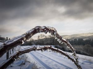 Превью обои зима, ветки, лед, снег