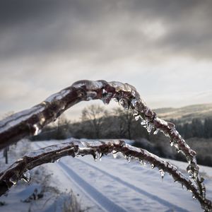 Превью обои зима, ветки, лед, снег