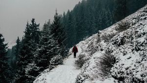 Превью обои зима, возвышенность, снег, деревья