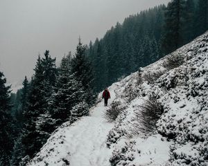 Превью обои зима, возвышенность, снег, деревья
