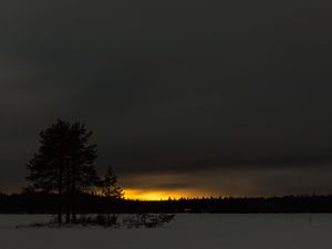 Превью обои зима, закат, горизонт, снег, ночь, деревья