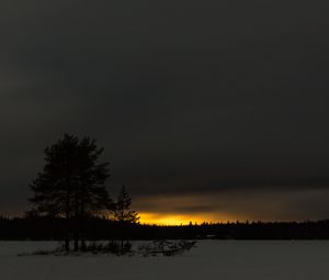 Превью обои зима, закат, горизонт, снег, ночь, деревья