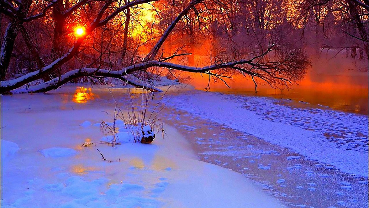 Обои зима, закат, вечер, ветви, дерево, пруд, замерзший, снег