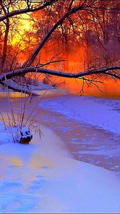 Превью обои зима, закат, вечер, ветви, дерево, пруд, замерзший, снег