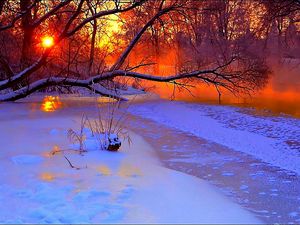 Превью обои зима, закат, вечер, ветви, дерево, пруд, замерзший, снег