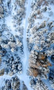 Превью обои зимний лес, дорога, вид сверху, снег