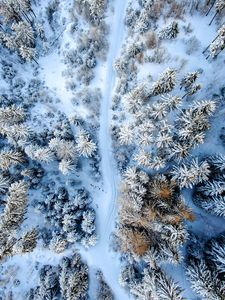 Превью обои зимний лес, дорога, вид сверху, снег