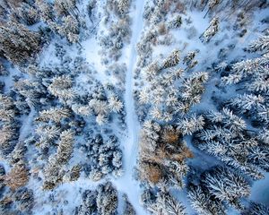 Превью обои зимний лес, дорога, вид сверху, снег